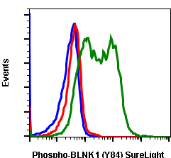 Phospho-BLNK (Tyr84) (Clone: H4) rabbit mAb SureLight488 conjugate