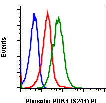 Phospho-PDK1 (Ser241) (Clone: F7) rabbit mAb PE conjugate