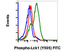 Phospho-Lck (Tyr505) (Clone: A3) rabbit mAb FITC conjugate