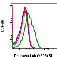 Phospho-Lck (Tyr505) (Clone: A3) rabbit mAb SureLight488 conjugate