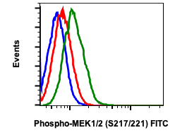 Phospho-MEK1/2 (Ser217/221) (Clone: H2) rabbit mAb FITC conjugate