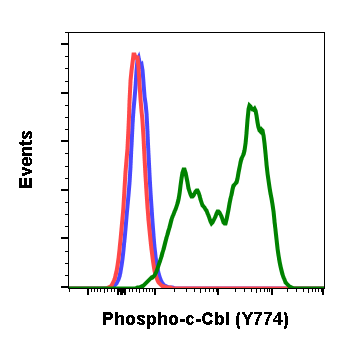 Phospho-c-Cbl (Tyr774) (Clone: R3B8) rabbit mAb