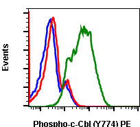 Phospho-c-Cbl (Tyr774) (Clone: R3B8) rabbit mAb PE conjugate