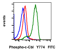 Phospho-c-Cbl (Tyr774) (Clone: R3B8) rabbit mAb FITC conjugate