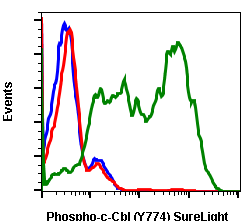 Phospho-c-Cbl (Tyr774) (Clone: R3B8) rabbit mAb SureLight488 conjugate