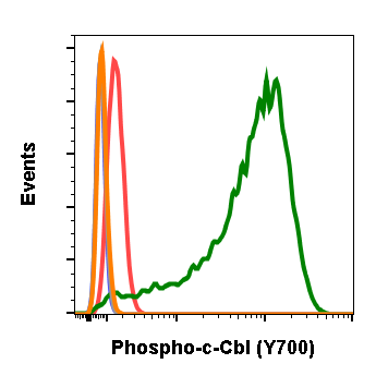 Phospho-c-Cbl (Tyr700) (Clone: E1) rabbit mAb