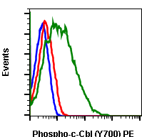 Phospho-c-Cbl (Tyr700) (Clone: E1) rabbit mAb PE conjugate