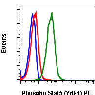 Phospho-Stat5 (Tyr694) (Clone: G11) rabbit mAb PE conjugate