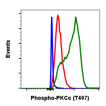 Phospho-PKCa (Thr497) (Clone: F1) rabbit mAb