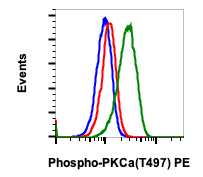 Phospho-PKCa (Thr497) (Clone: F1) rabbit mAb PE Conjugate