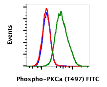 Phospho-PKCa (Thr497) (Clone: F1) rabbit mAb FITC Conjugate