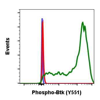 Phospho-Btk (Tyr551) (Clone: G12) rabbit mAb