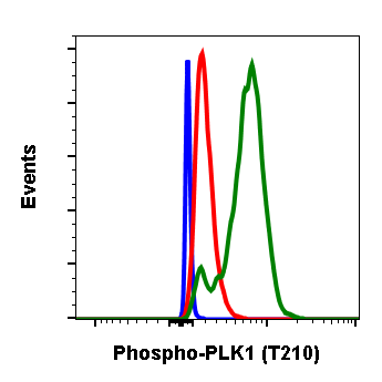 Phospho-PLK1 (Thr210) (Clone: C2) rabbit mAb