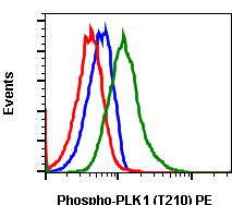 Phospho-PLK1 (Thr210) (Clone: C2) rabbit mAb PE conjugate