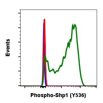 Phospho-Shp1 (Tyr536) (Clone: 2A7) rabbit mAb