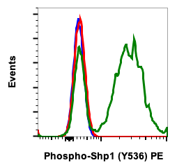 Phospho-Shp1 (Tyr536) (Clone: 2A7) rabbit mAb PE conjugate