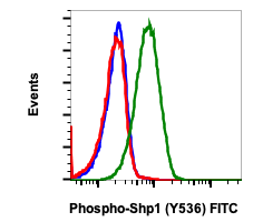 Phospho-Shp1 (Tyr536) (Clone: 2A7) rabbit mAb FITC conjugate