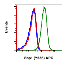 Phospho-Shp1 (Tyr536) (Clone: 2A7) rabbit mAb APC conjugate