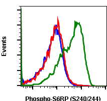 Phospho-S6-Ribosomal Protein (Ser240/244) (Clone: CD10) rabbit mAb