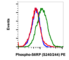 Phospho-S6-Ribosomal Protein (Ser240/244) (Clone: CD10) rabbit mAb PE Conjugate