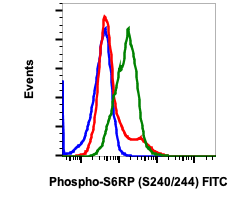 Phospho-S6-Ribosomal Protein (Ser240/244) (Clone: CD10) rabbit mAb FITC Conjugate