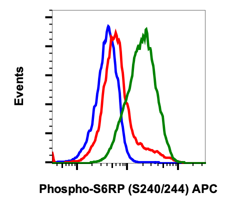 Phospho-S6-Ribosomal Protein (Ser240/244) (Clone: CD10) rabbit mAb APC Conjugate