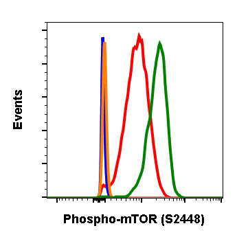 Phospho-mTOR (Ser2448) (Clone: E11) rabbit mAb