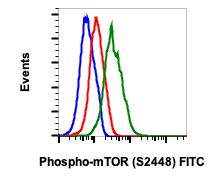 Phospho-mTOR (Ser2448) (Clone: E11) rabbit mAb FITC Conjugate