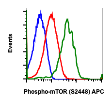 Phospho-mTOR (Ser2448) (Clone: E11) rabbit mAb APC Conjugate