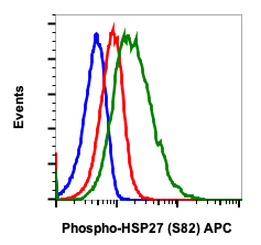 Phospho-HSP27 (Ser82) (Clone: CB2) rabbit mAb APC conjugate