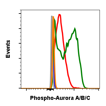 Phospho-Aurora A (Thr288)/Aurora B (Thr232)/Aurora C (Thr198) (Clone: CC12) rabbit mAb