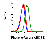 Phospho-Aurora A (Thr288)/Aurora B (Thr232)/Aurora C (Thr198) (Clone: CC12) rabbit mAb PE Conjugate