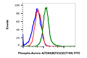 Phospho-Aurora A (Thr288)/Aurora B (Thr232)/Aurora C (Thr198) (Clone: CC12) rabbit mAb FITC conjugate