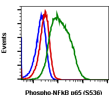 Phospho-NFKB p65 (Ser536) (Clone: B7) rabbit mAb