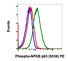 Phospho-NFKB p65 (Ser536) (Clone: B7) rabbit mAb PE conjugate