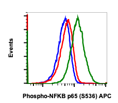 Phospho-NFKB p65 (Ser536) (Clone: B7) rabbit mAb APC Conjugate