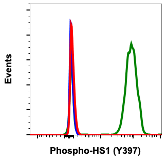 Phospho-HS1 (Tyr397) (Clone: F12) rabbit mAb