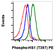 Phospho-HS1 (Tyr397) (Clone: F12) rabbit mAb PE Conjugate