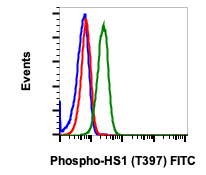 Phospho-HS1 (Tyr397) (Clone: F12) rabbit mAb FITC Conjugate