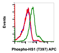 Phospho-HS1 (Tyr397) (Clone: F12) rabbit mAb APC Conjugate