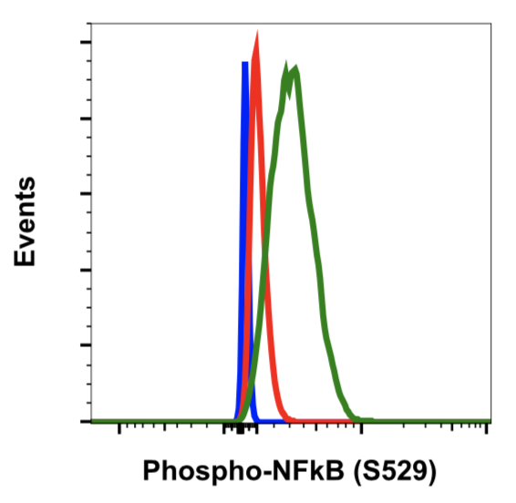 Phospho-NFkB p65 (Ser529) (Clone: H3) rabbit mAb