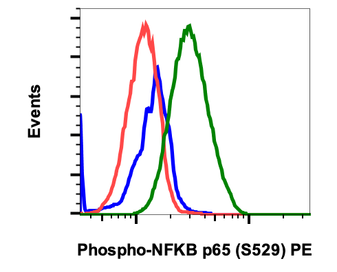 Phospho-NFkB p65 (Ser529) (Clone: H3) rabbit mAb PE conjugate