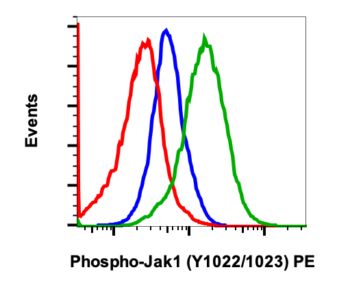 Phospho-Jak1 (Tyr1022/1023) (Clone: F11) rabbit mAb PE Conjugate