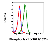 Phospho-Jak1 (Tyr1022/1023) (Clone: F11) rabbit mAb FITC Conjugate