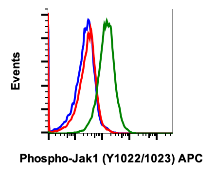 Phospho-Jak1 (Tyr1022/1023) (Clone: F11) rabbit mAb APC Conjugate