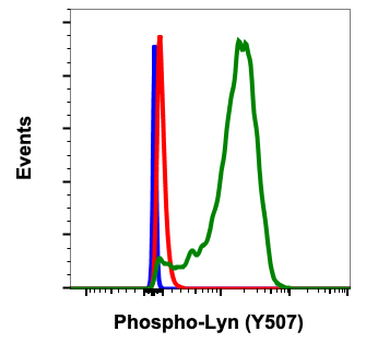 Phospho-Lyn (Tyr507) (Clone: 5B6) rabbit mAb