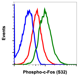 Phospho-c-Fos (Ser32) (Clone: BA9) rabbit mAb