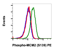 Phospho-MCM2 (Ser139) (Clone: B12) rabbit mAb PE conjugate