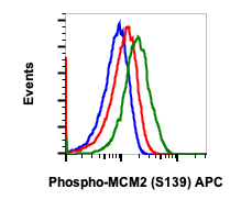 Phospho-MCM2 (Ser139) (Clone: B12) rabbit mAb APC conjugate