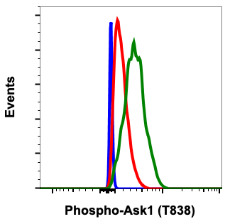 Phospho-Ask1 (Thr838) (Clone: 8D12) rabbit mAb